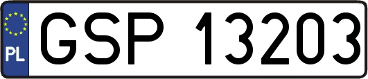 GSP13203