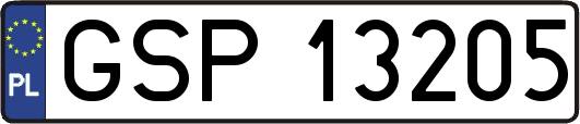 GSP13205