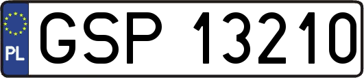 GSP13210