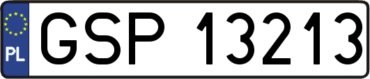 GSP13213