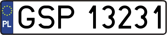 GSP13231