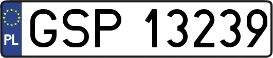 GSP13239