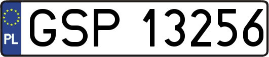 GSP13256