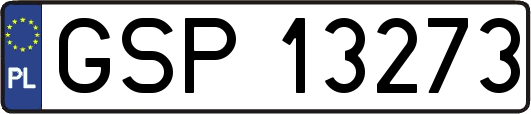 GSP13273