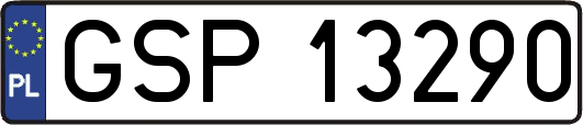GSP13290