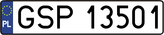 GSP13501