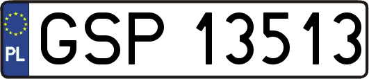 GSP13513