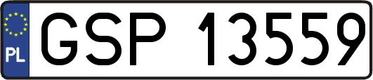GSP13559