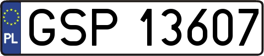 GSP13607