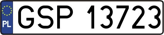 GSP13723