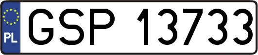 GSP13733