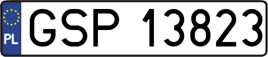 GSP13823