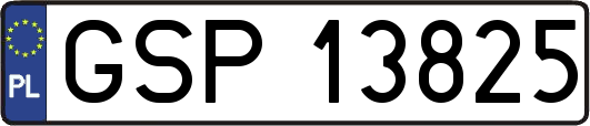 GSP13825