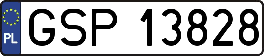 GSP13828