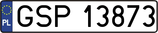 GSP13873