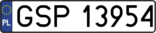 GSP13954