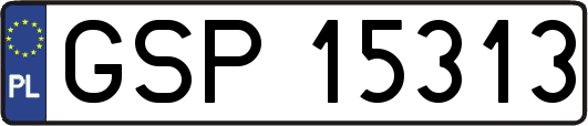 GSP15313