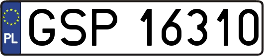 GSP16310