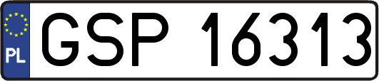 GSP16313