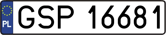 GSP16681