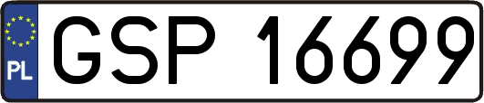 GSP16699