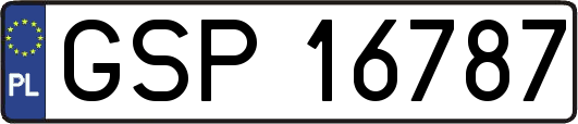 GSP16787