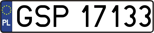 GSP17133