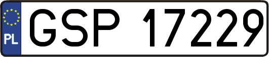 GSP17229