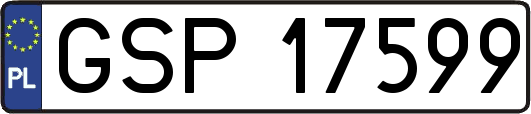 GSP17599