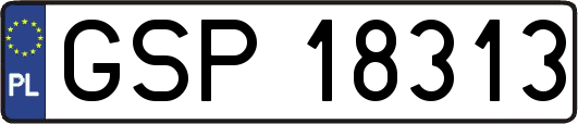 GSP18313
