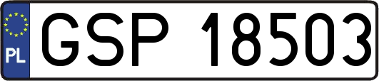 GSP18503