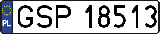 GSP18513