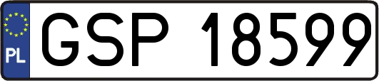 GSP18599