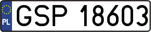 GSP18603