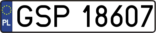 GSP18607