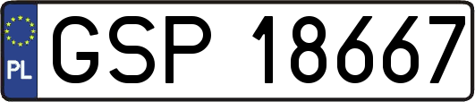 GSP18667