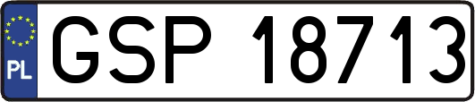 GSP18713