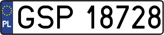 GSP18728