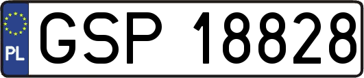 GSP18828