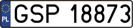 GSP18873
