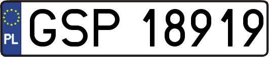 GSP18919