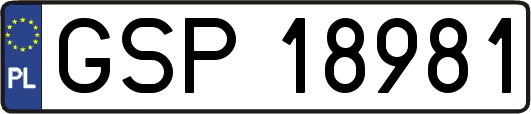 GSP18981
