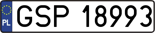 GSP18993