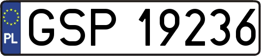 GSP19236