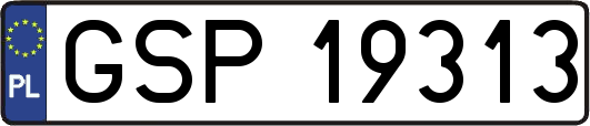GSP19313