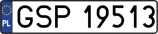 GSP19513