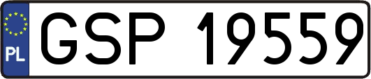 GSP19559