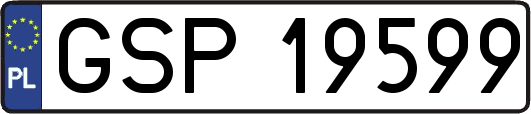 GSP19599