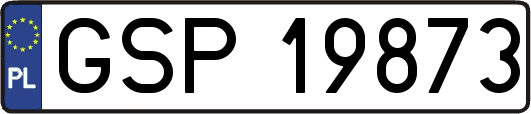 GSP19873