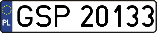 GSP20133